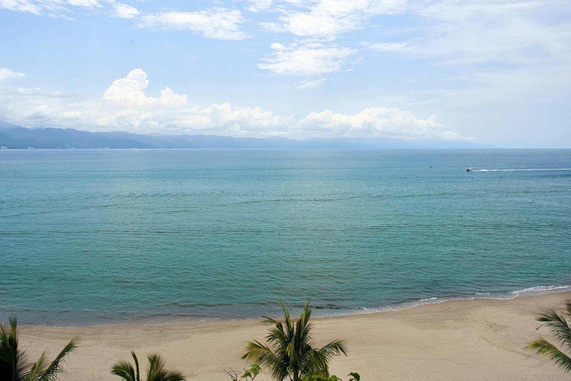 1 Bedroom Presidential Suite 1 King Oceanfront Terrace
